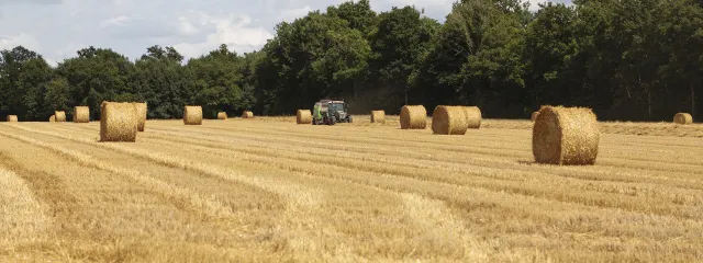 Pressage des balles de pailles de blé