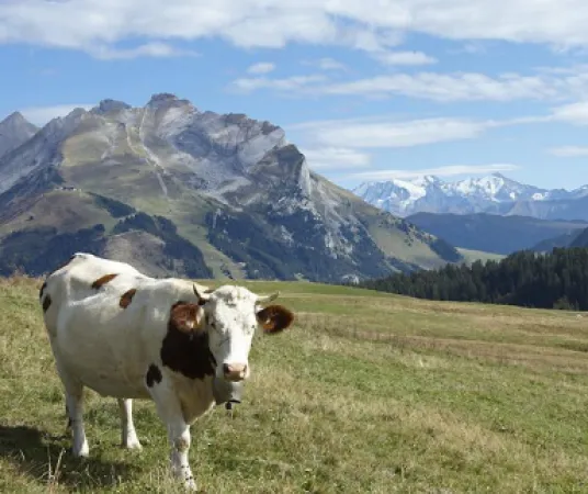 Une présence sur tout le territoire