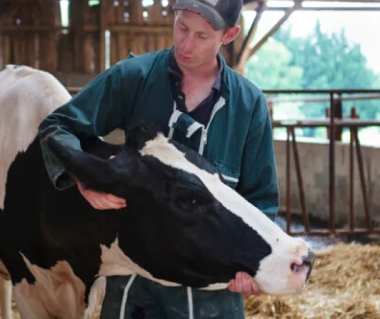 Une richesse des modèles de ferme